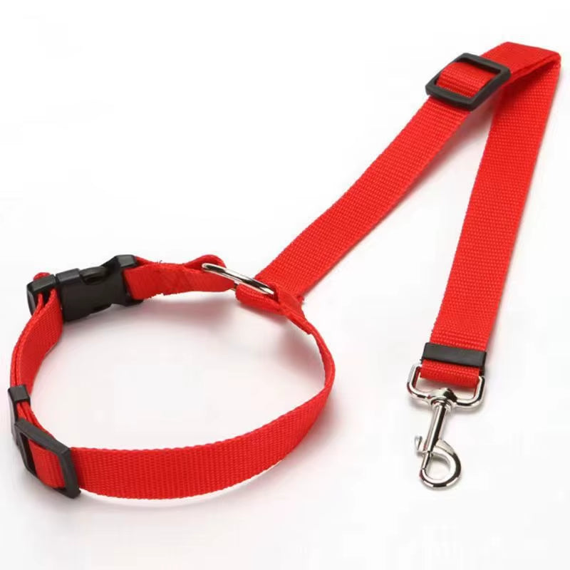 SafeRide DuoLeash – 2-in-1 Car Seat Belt & Walking Leash for Dogs on the Move